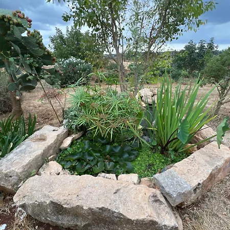 アパート Trullo Incanto オストゥーニ